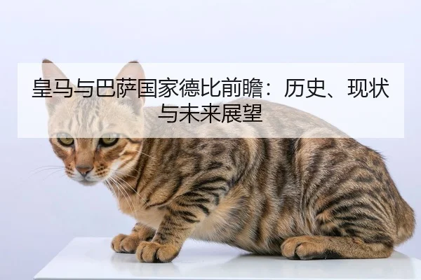 皇马与巴萨国家德比前瞻：历史、现状与未来展望