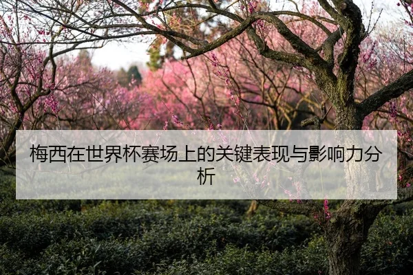 梅西在世界杯赛场上的关键表现与影响力分析