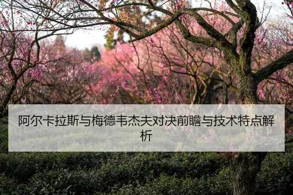 阿尔卡拉斯与梅德韦杰夫对决前瞻与技术特点解析